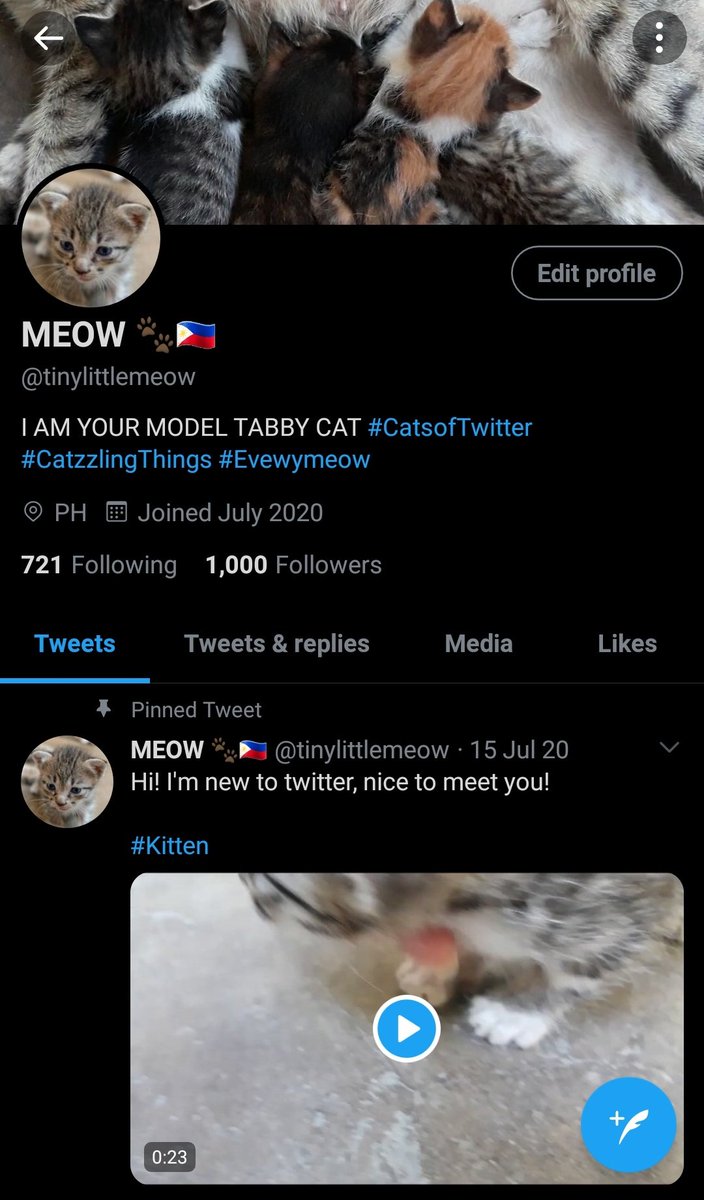 MEOW 🐾🇵🇭 (@tinylittlemeow) / Posts / X