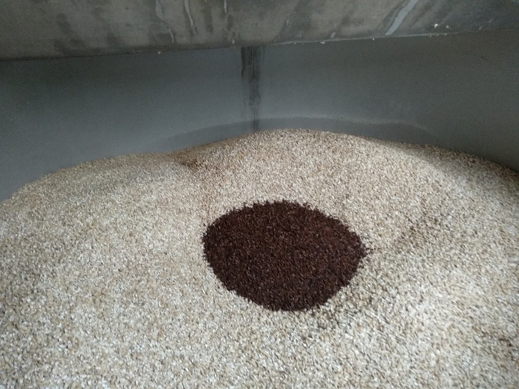 treensbrewery's tweet photo. A grist case full of malt ready for a #Krowsek brew- which is on draught this weekend. Collect yours on Friday 12-7 https://t.co/8A7z3bu2J0 https://t.co/eXR8Fp2CUb