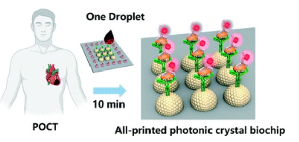 LabonaChip's tweet photo. All-printed point-of-care #immunosensing biochip for one drop blood #diagnostics
Jimei Chi & Yanlin Song et al. from ICCAS
➡️ https://t.co/Ae5SeUEPyL
📖 Miniaturized Sensors & Diagnostics collection (https://t.co/DkgSLtr9L5) https://t.co/n8lrighkgC