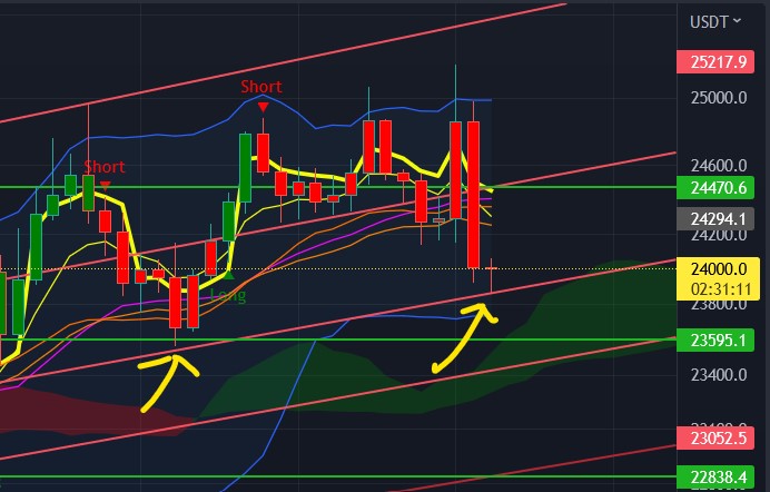 Egypt (@devloper_noor) on Twitter photo 