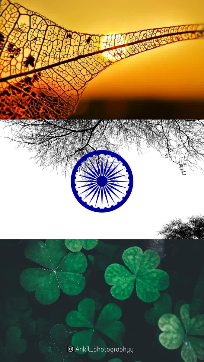 Happy Independence Day

Check out this post on pindle app
Click this link
pindle.io/web/share?sid=…