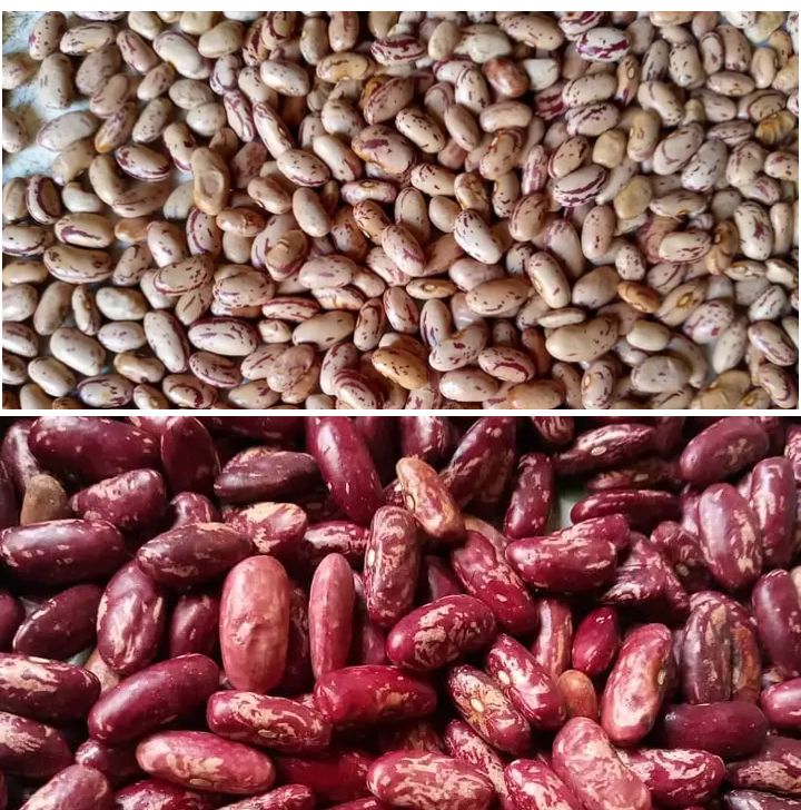 A lady came to me asking if l could help raise $400 for skul fees 4 her child in Form 5.l asked her before l could assist wat do you have,she said 51Bckts of Suger Beans,l said thank God thats enough product.So help me sale these buckets of
SugerBean @ $20per bucket.