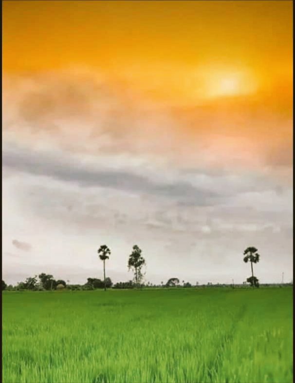 RumiDeb11's tweet photo. Happy 76th independence day 🇮🇳
#IndependenceDay2022 
#IndiaAt75 
#Indianflag 
#NaturalFlag❤
#JaiHindJaiBharat https://t.co/2VMD265ghf