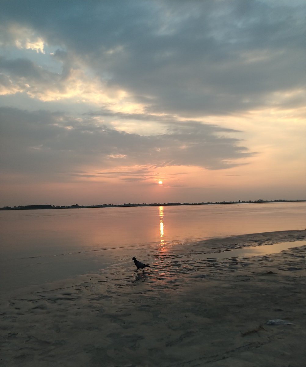 Im_OO7's tweet photo. खुले आसमा सी ये आजादी 
ना है कोई बंदीसे
ना है अब रोक टोक
संघर्ष के उस अंगार ने
कर दी राख वो बेड़िया
हुए पुरे 75 साल
यू तो उड़ना है सारे जहां में
हा हूं मैं हिन्दुस्तान 🇮🇳
#IndependenceDay
#IndiaAt75 
#स्वतंत्रतादिवस https://t.co/icZx22QbId