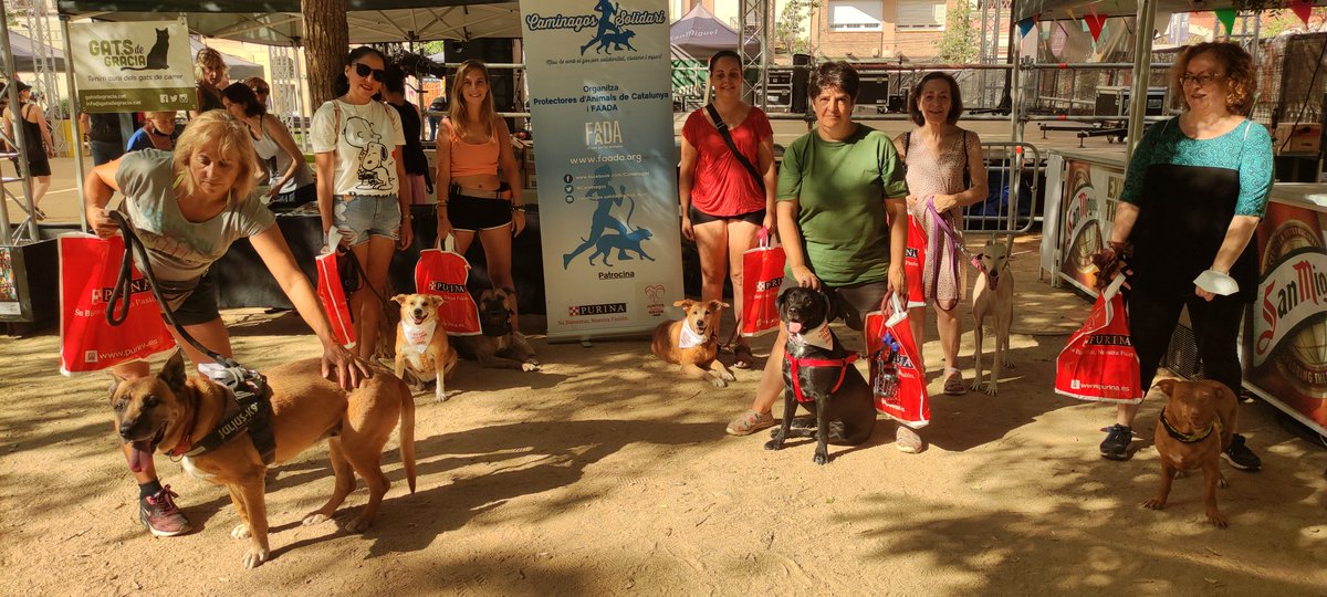 CaminagosSolidari tweet media