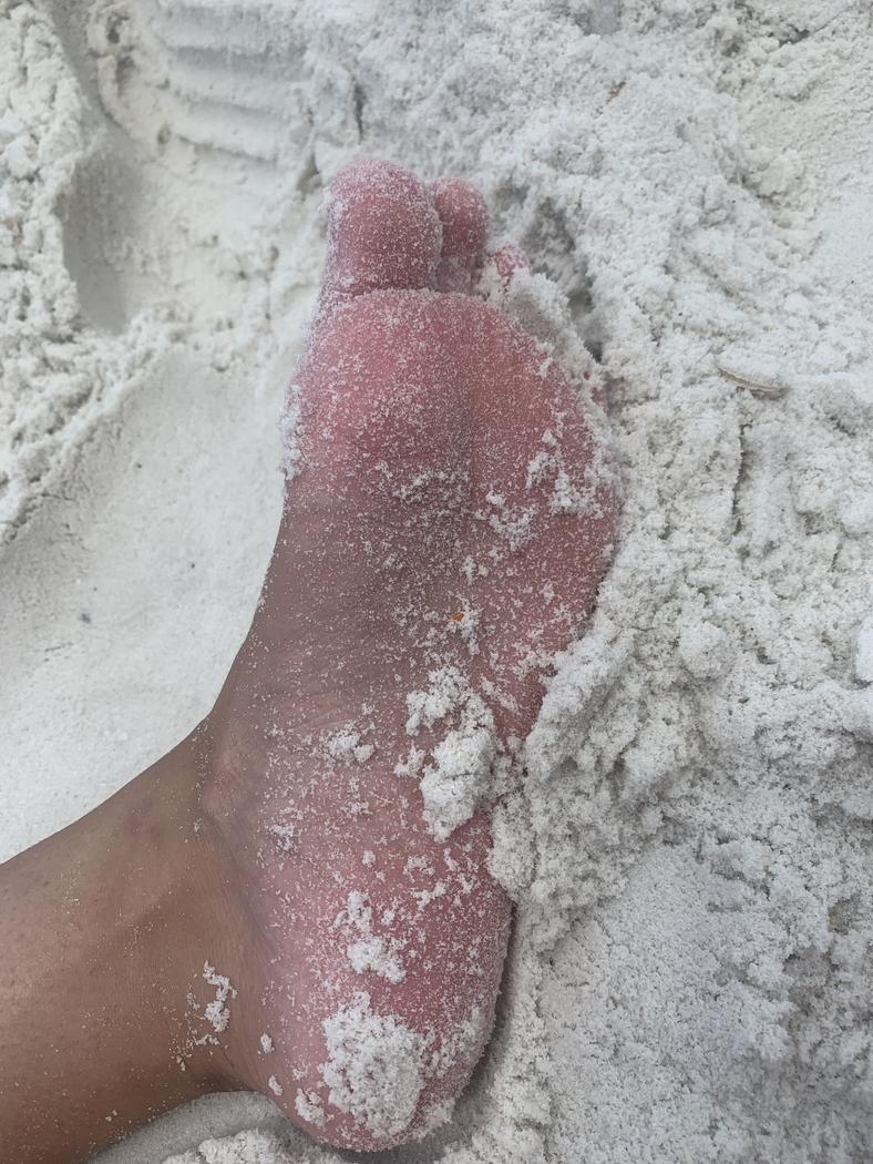 KaylaGo07282830's tweet photo. https://t.co/5znd7HL0Ea Beachy   #archedfeet #feet #footfetish #toes #mild #beach https://t.co/fF5Ain3BSM