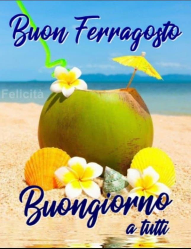 Clement60673330's tweet photo. @Elena16743820 https://t.co/QG1jaK9Iqg