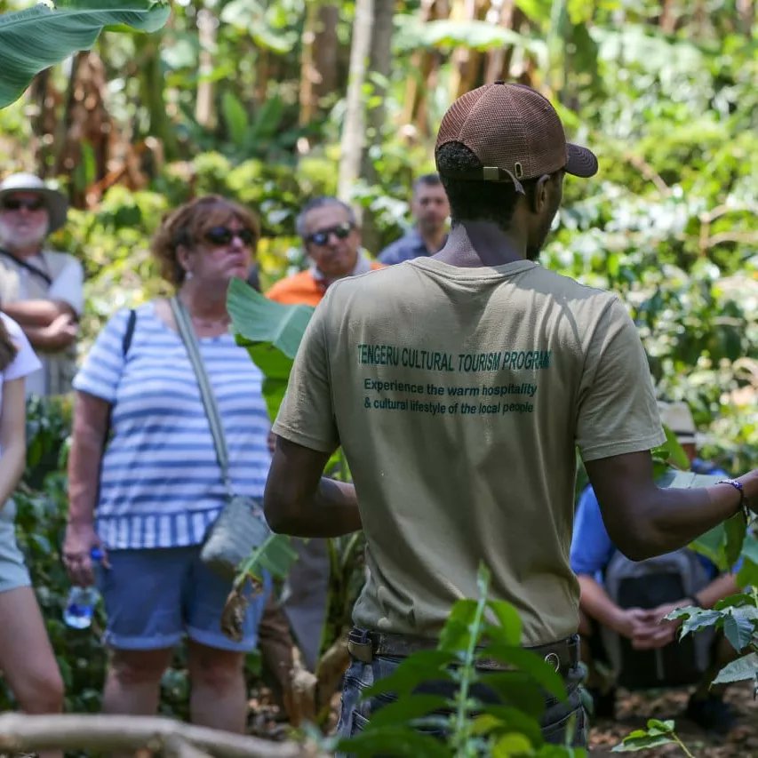 TengeruCultural's tweet photo. Getting more ideas about or learning more about something you love always worth it. Kindly visit us and get a chance to know more about coffee. 
#coffeetour #coffeelovers #forest#adventure #traveltostudy #discover https://t.co/QVW8mLdajt
