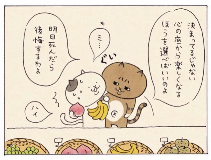 #ミィちゃんは今日もがんばらない 