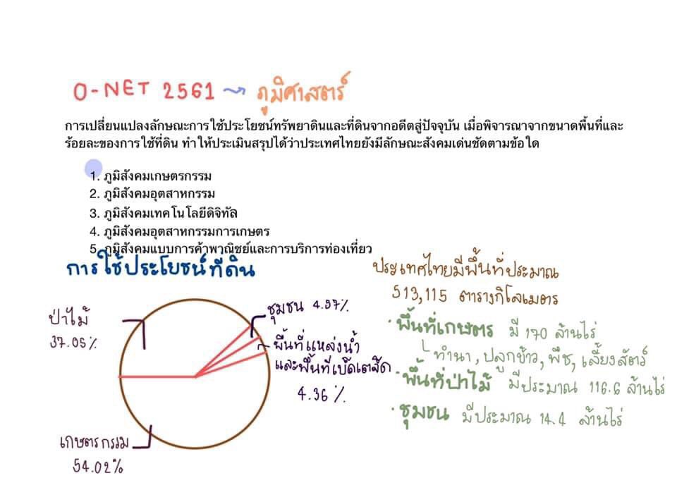 socialbycat tweet picture