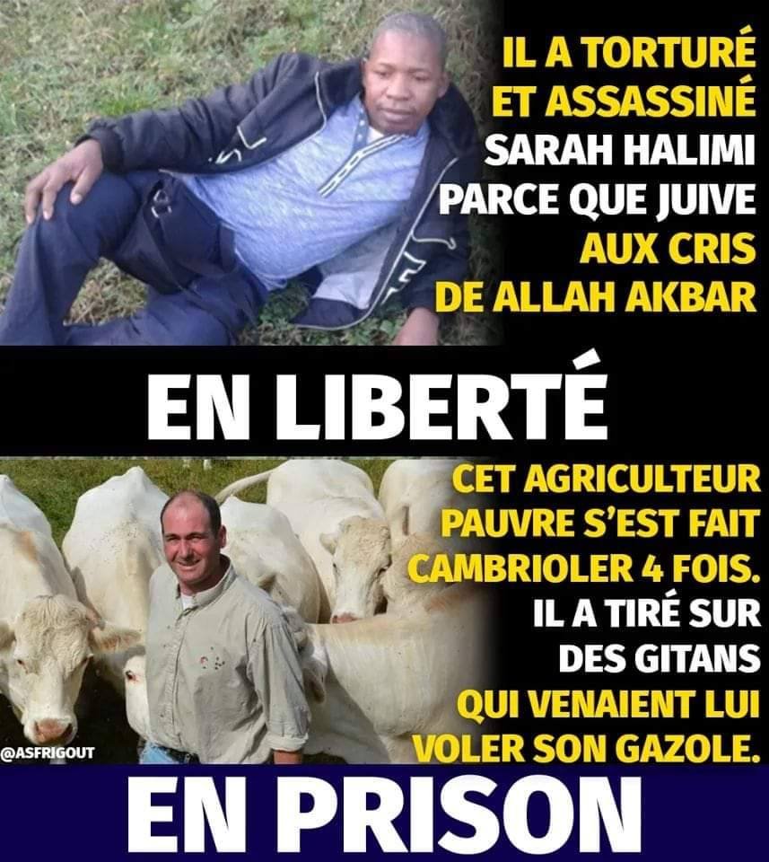 Charmeur tweet media