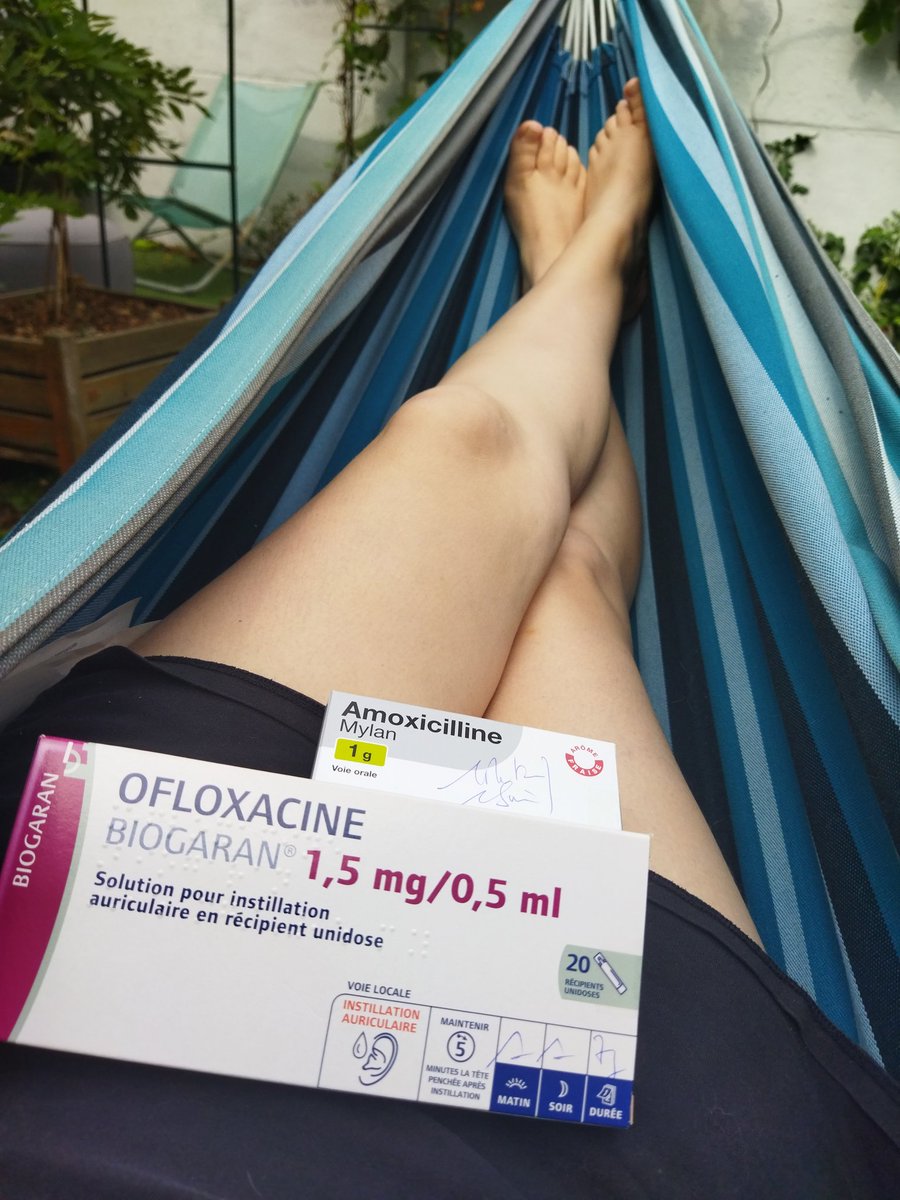 Petite Loutre tweet media