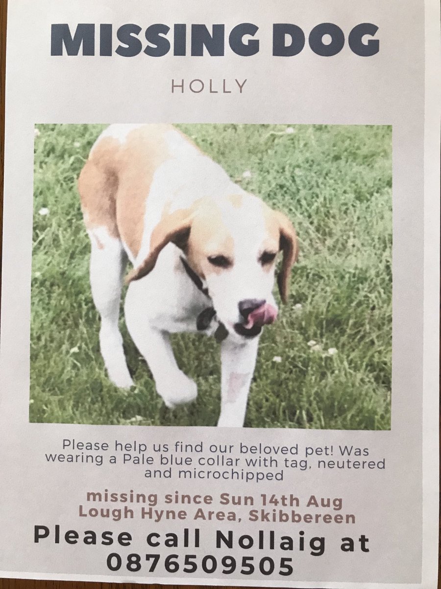 Jelly Fish Surf Shop (@jellysurf) on Twitter photo 