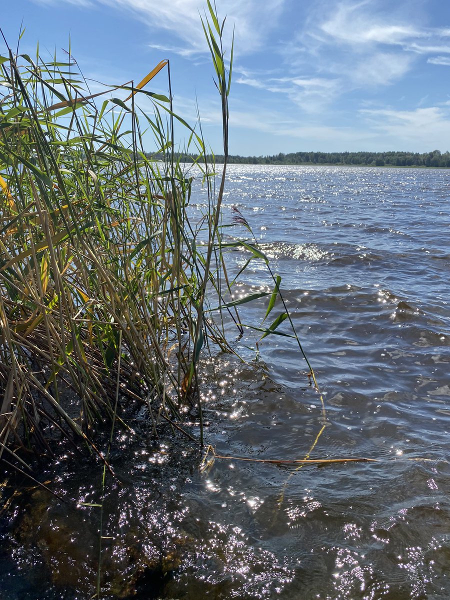 markuss618's tweet photo. Рыбалка 🎣 https://t.co/rKOlXdohTP