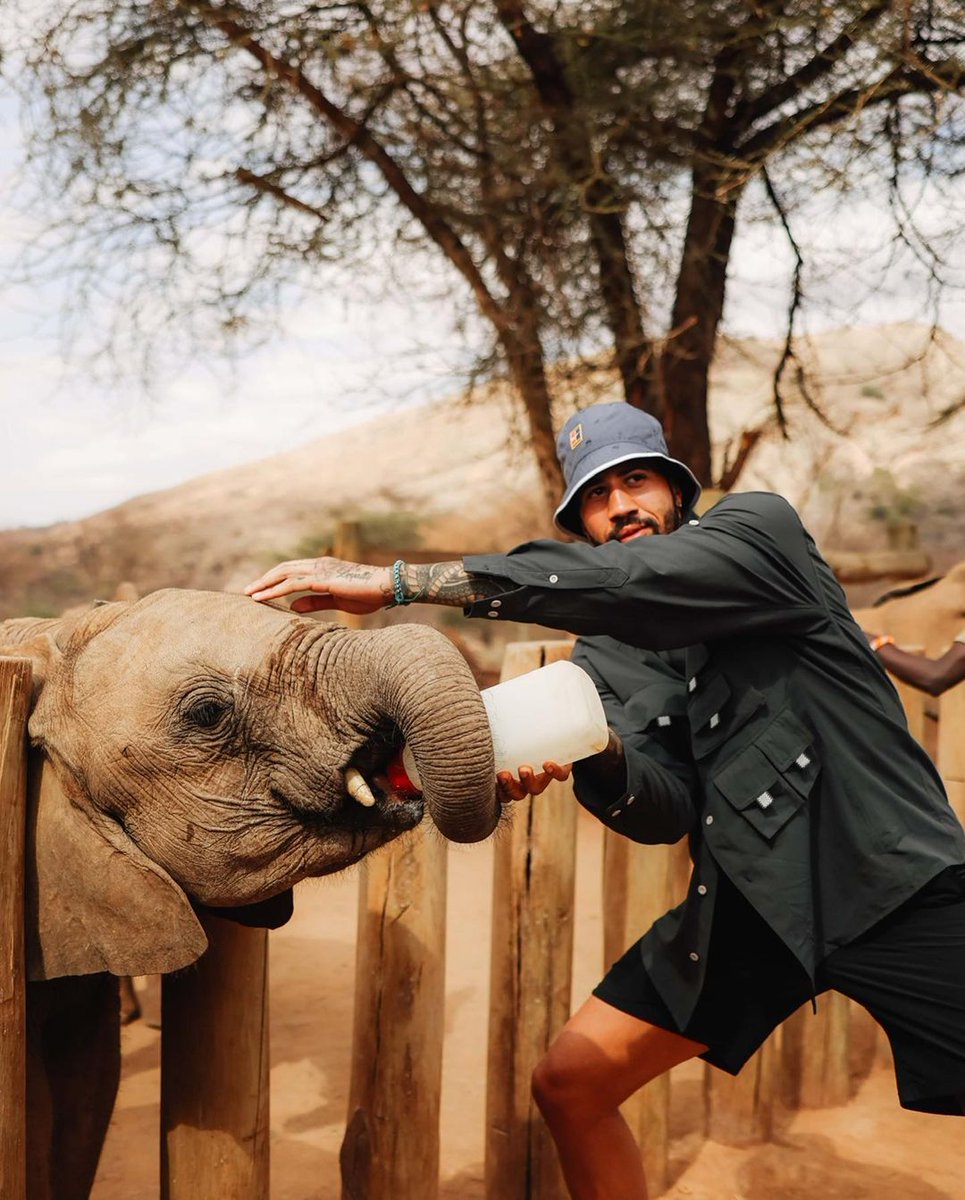 Tembea Kenya Pollmans tweet media