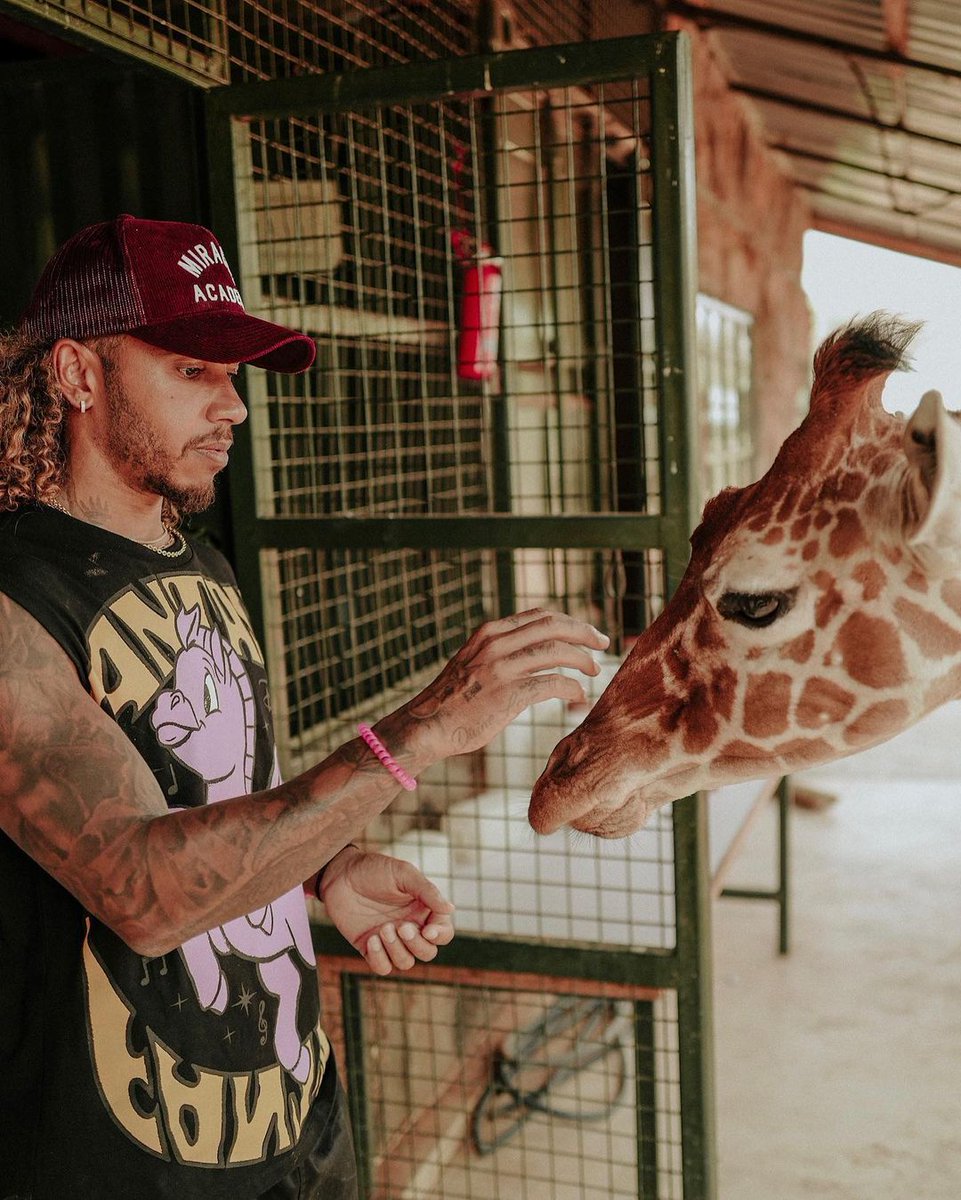 Tembea Kenya Pollmans tweet media