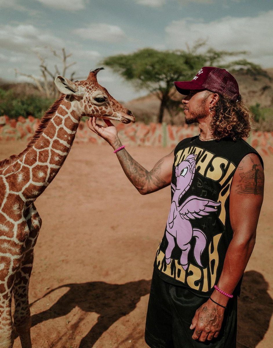 Tembea Kenya Pollmans tweet media