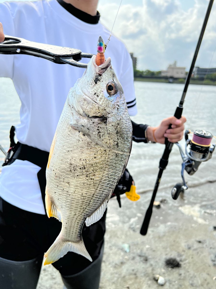 のぶと (@XM1xr) / Posts / X