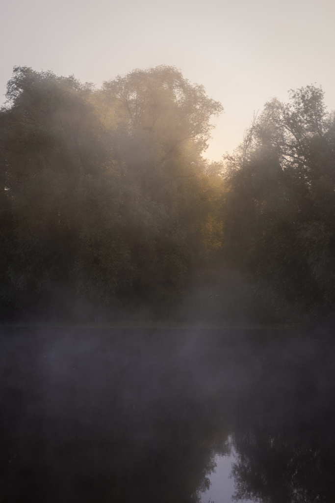 SellerCharles's tweet photo. La brume matinale le long de l'Oust. 

Morning mist above the river Oust, Brittany France. 

#paysderedon #pastelcolours #landscapephotography #bretagne https://t.co/jGGWJp49OF