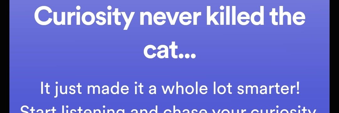 clean_bandit007's tweet photo. My pet cat (Miso) is getting diacharged! I hope it gets better! Pls pray for him 🙏 https://t.co/v2L89m28EQ