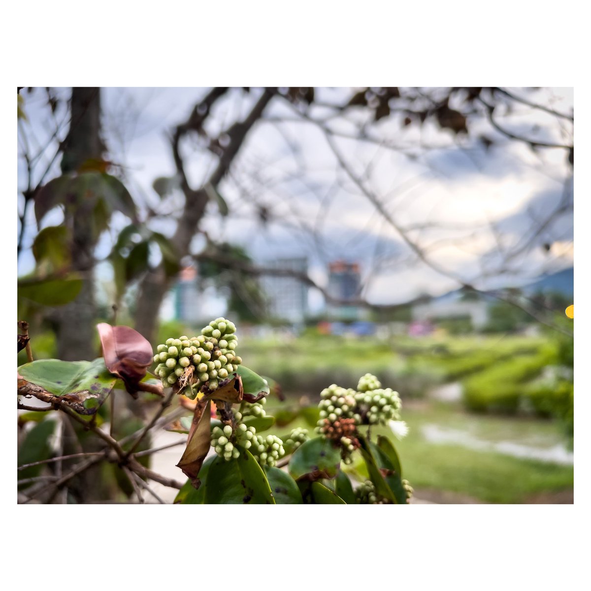 DuaEnam KosongLima tweet media