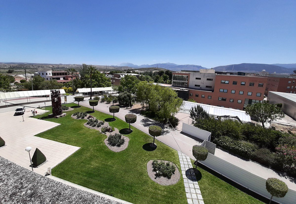 ujaen's tweet photo. El ranking de Shanghái 2022, publicado esta pasada madrugada, sitúa a la @ujaen en el rango 701-800 entre las más de 28.000 instituciones universitarias del mundo, posición en la que se mantiene en las tres últimas ediciones. https://t.co/TPvLUSPJVi https://t.co/0lNo0oW0Xe