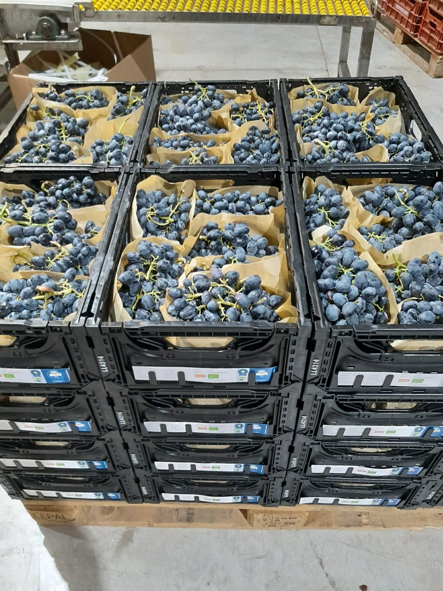 vasilis dimas (@dimasvasilis) on Twitter photo 