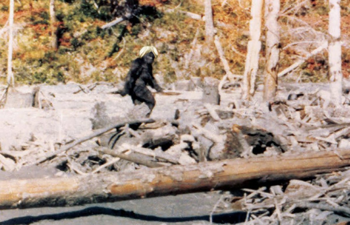 haveigotnews's tweet image. New photo claims to prove the existence of the mythical creature known as ‘Boris Johnson’: