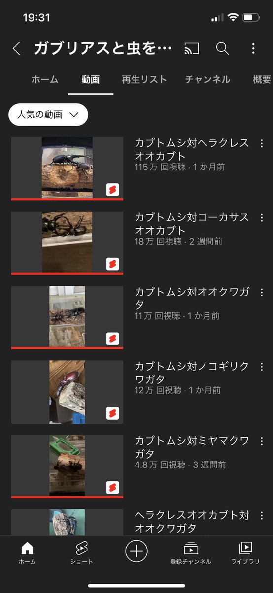 ヘラクレスオオカブトのtwitterイラスト検索結果