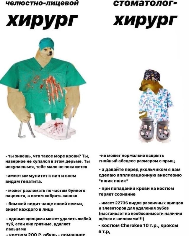 Gribanov's tweet photo. https://t.co/uhS17gM3TE