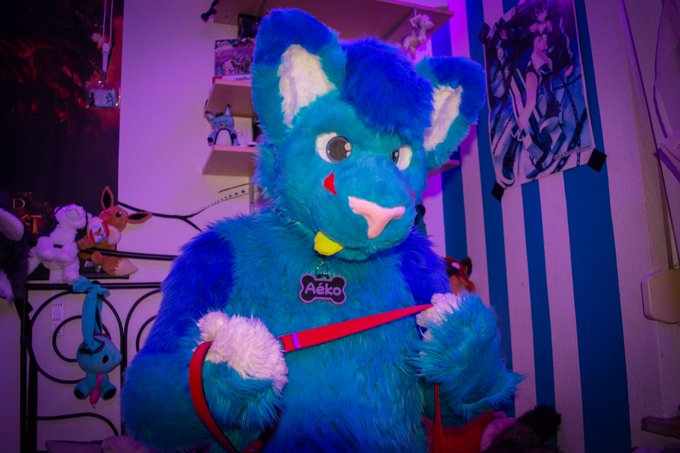 Hey you! How about you put this Collar on? You don't want to? I'll make you to wear it!  Pic by: @BrekADarkWolf<a href="/tag/collared"class="tags"><span>#collared</span></a><a href="/tag/murrsuitmonday"class="tags"><span>#murrsuitmonday</span></a><a href="/tag/murrsuit"class="tags"><span>#murrsuit</span></a>
