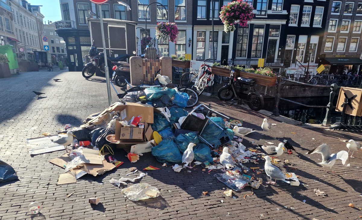 This is beautifull Amsterdam, in the heart of the city: de Nieuwmarkt. And you find this everywhere in the old town, between the canals. Enjoy. <a href="/Iamsterdam/">I amsterdam</a> <a href="/AmsterdamNL/">Gemeente Amsterdam</a>