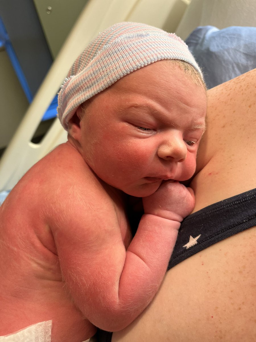 Cryptofungus tweet media