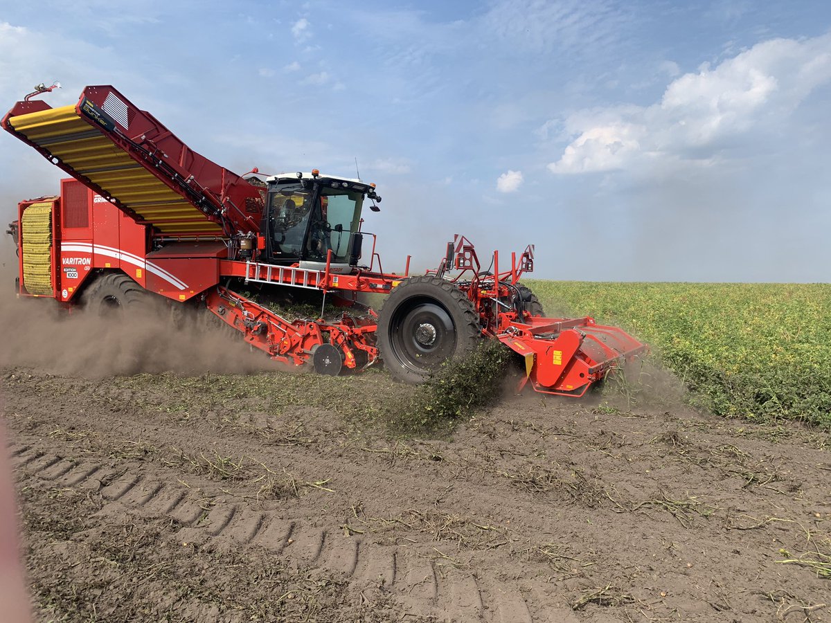 wecodehondsrug's tweet photo. Vandaag een begin maken aan het rooiseizoen 2022 💪🏻💪🏻 Droge omstandigheden 😒 #pttp #grimme #keepgoing #Trotsopdeboer https://t.co/BHOiaxikaT