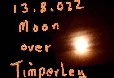 Zappy Lynn B tweet media