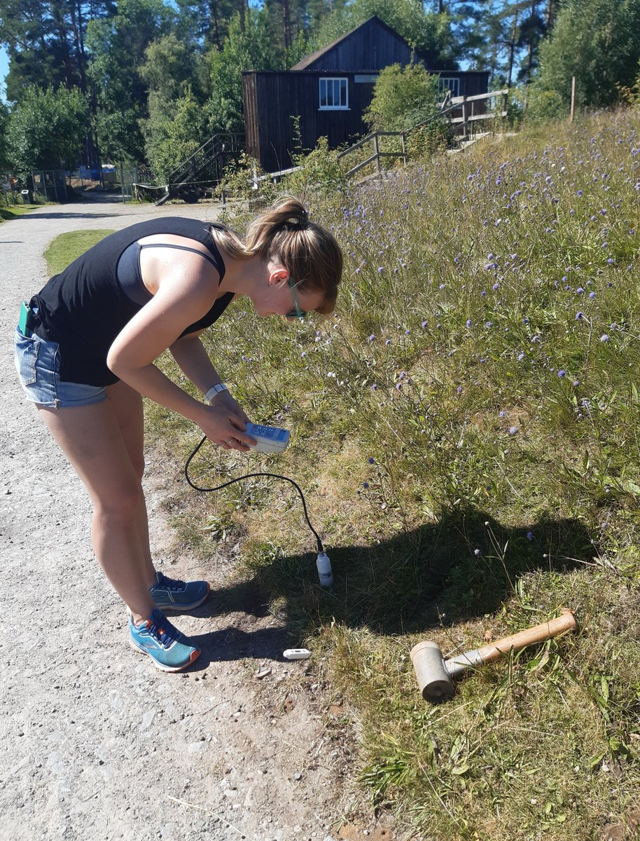 Rare Invertebrates in the Cairngorms tweet media
