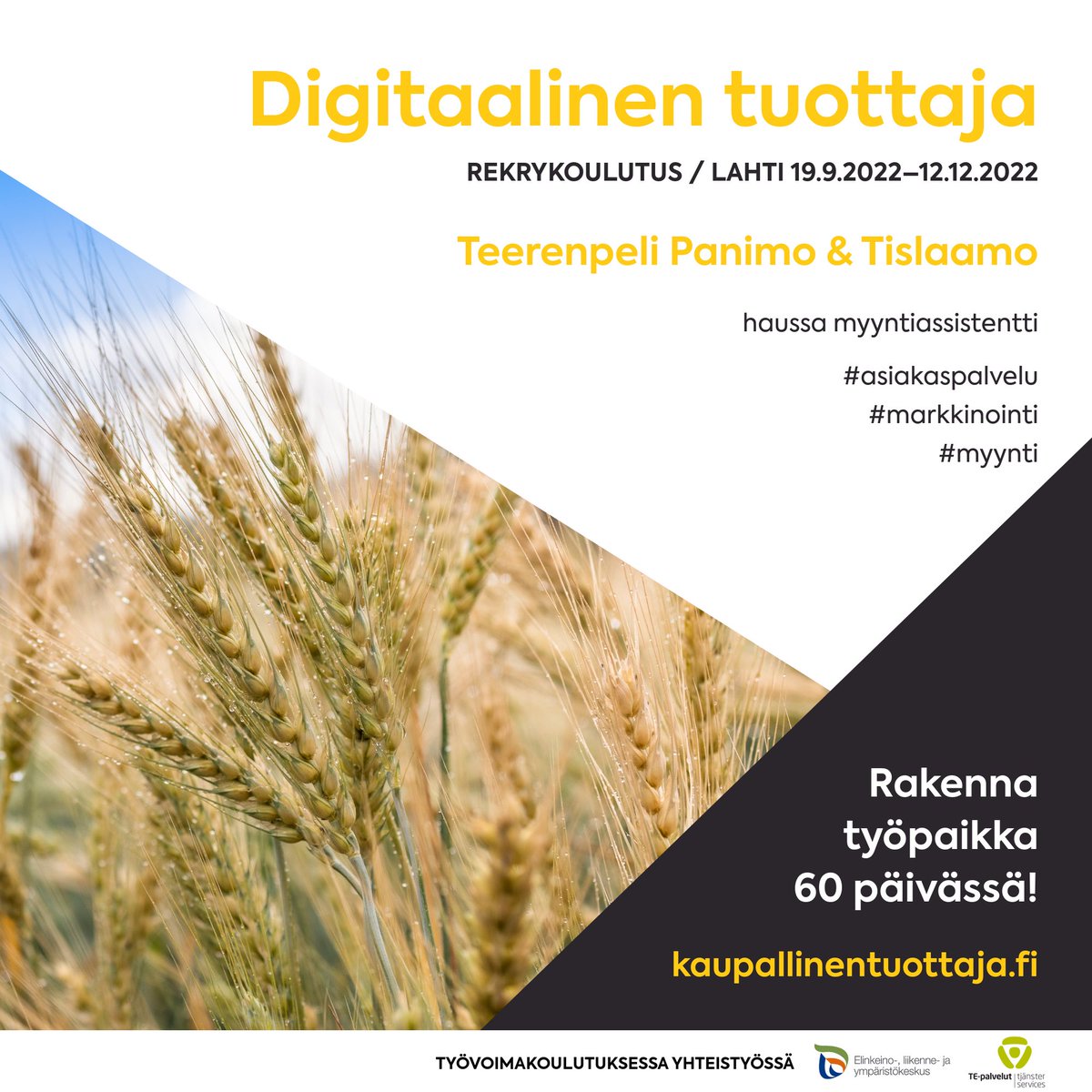 KTuottaja's tweet photo. Myyntiassistentti / @Teerenpeli Panimo &amp; Tislaamo

Haemme myyntiassistenttia panimon ja tislaamon puolelle hyvin monipuolisiin tehtäviin, joilla on iso merkitys toiminnan sujuvuudelle ja asiakaskokemukselle. 

https://t.co/kOjr0bV1R8

#rekrykoulutus #työpaikat https://t.co/gFTte0DiHW