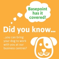 basepoint_camb's tweet photo. Good afternoon ! Basepoint Camberley @basepoint_cam Don't want to leave your dog at home? Come and join one of our
@Basepoint_Cntrs today, call us on 01276 415700, we are are #dogfriendly #OfficeSpace #businesscentre #camberley #workspace #coworking. https://t.co/0Ozc3K8pPP