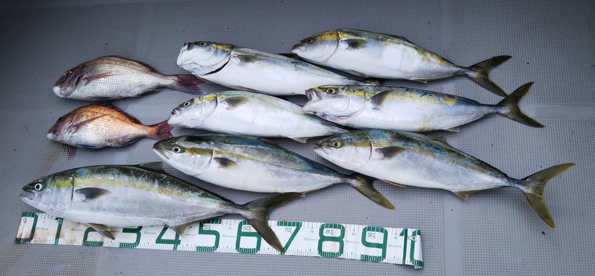 楽しいんじゃ～🤪