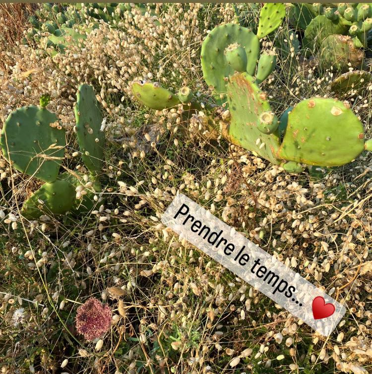 vanessreveillon's tweet photo. Se poser… Prendre le temps… PROFITER ♥️♥️♥️ #vanessa_reveillon_atelier_cuir #artisan #sellerie #atelierboutique #cuir #leather #paris #madeinfrance #maroquinerie #handmade #faitmain #frenchtouch #frenchstyle #parisian #artisanatfrancais #cousumain #pointsellier https://t.co/ek3jmHBRbe