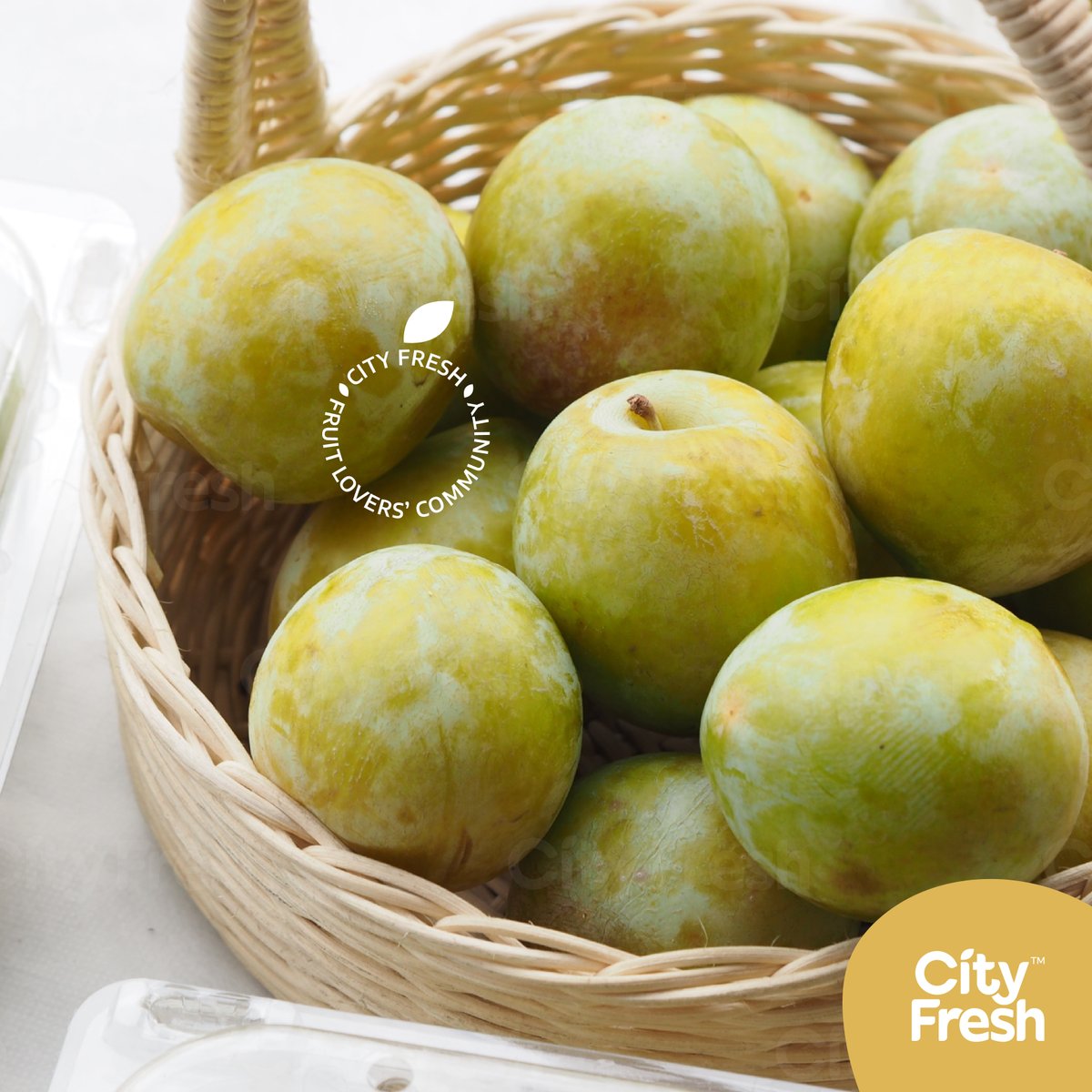 cityfreshfruit's tweet photo. 𝐄𝐦𝐞𝐫𝐚𝐥𝐝 𝐁𝐞𝐚𝐮𝐭 𝐏𝐥𝐮𝐦𝐜𝐨𝐭𝐬 #คัดพิเศษ จาก 𝘍𝘢𝘮𝘪𝘭𝘺 𝘛𝘳𝘦𝘦 𝘍𝘳𝘢𝘮𝘴 USA เมื่อสุกแล้วจะมีรสชาติหวานฉ่ำ เนื้อที่ติดบริเวณเปลือกจะมีรสติดเปรี้ยวนิด ๆ ลงตัวสุด ๆ ✨#CityFreshFruit #Cityfresh #CityfreshDelivery #ผลไม้เดลิเวอร์รี่ #ผลไม้พร้อมส่ง #ผลไม้ #Plumcot https://t.co/f3LRKvlj1x