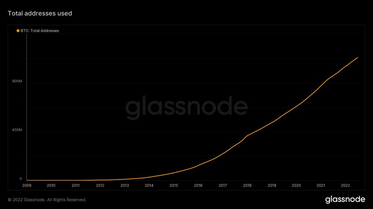 Documenting ₿itcoin 📄 tweet media