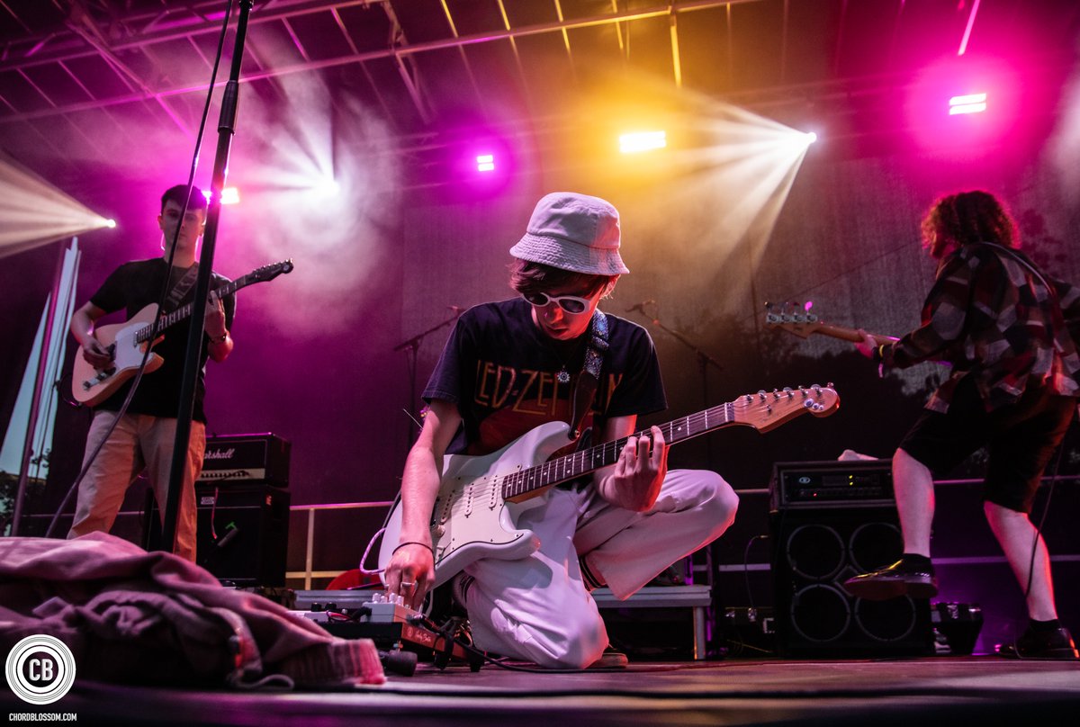 Chordblossom tweet media