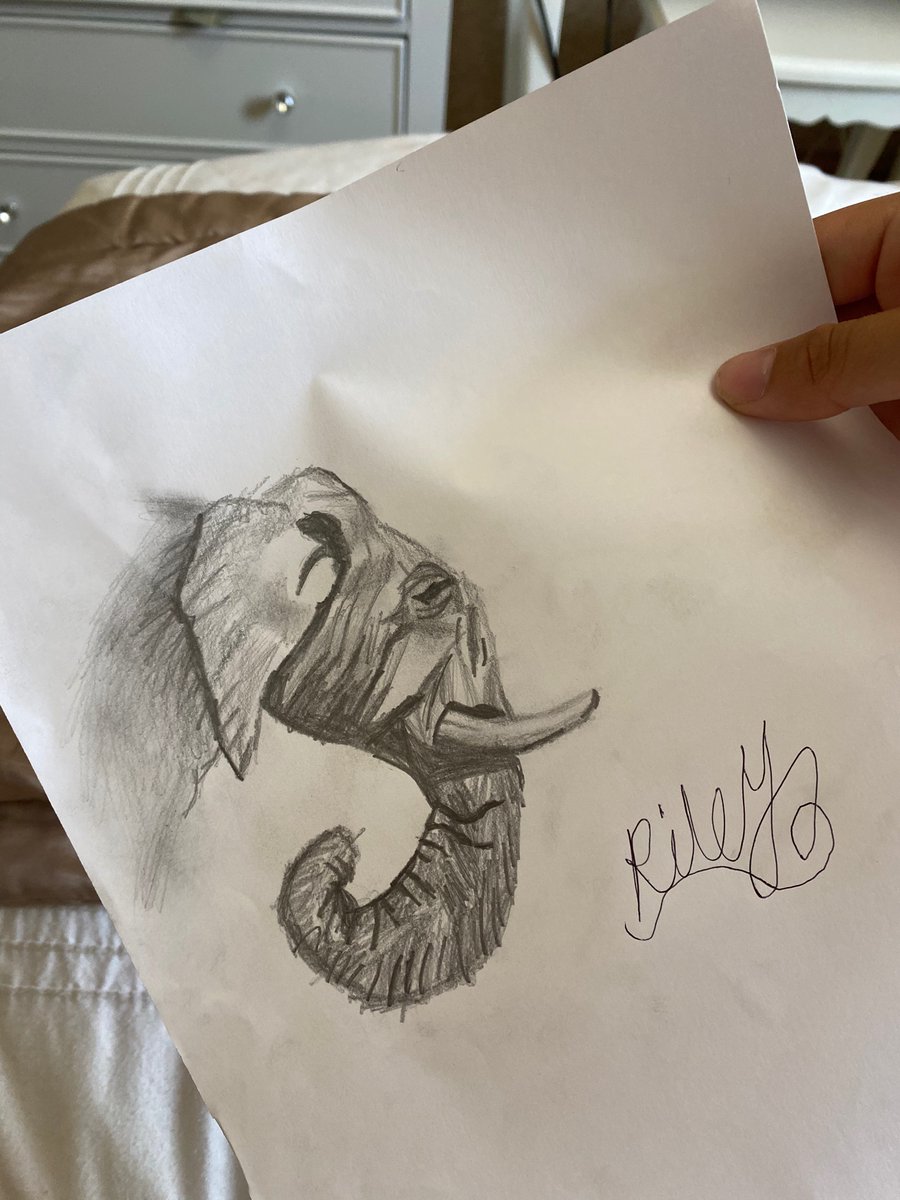 sophP18's tweet photo. Had to share these amazing drawings rileys done during the school holidays.  #buddingartist @st_michaels_ce https://t.co/ZmK5fdE7UD