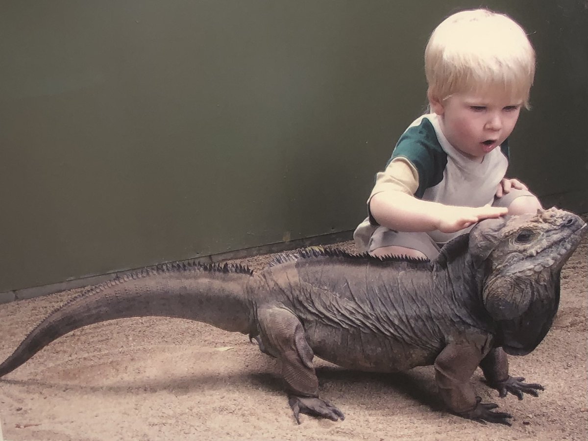TerriIrwin's tweet photo. Always keep your love and wonder for wildlife.
#WorldLizardDay https://t.co/HcWI2JnWvL
