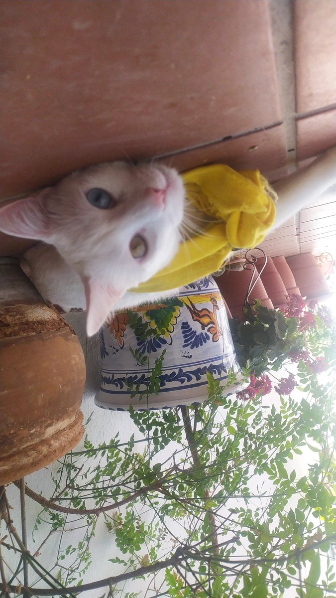 Enamorá💛💛💛
