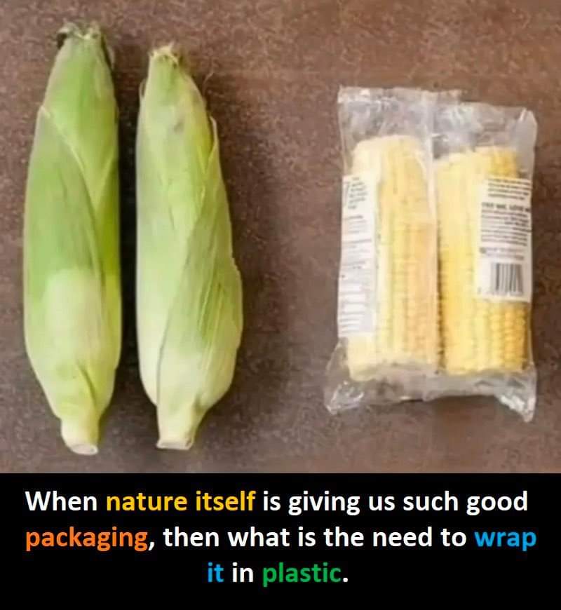 JohnSocEnt's tweet photo. This tells us something fundemental: just follow nature.
#ReduceReuseRepairRecycle https://t.co/nJ0ijVYS7j