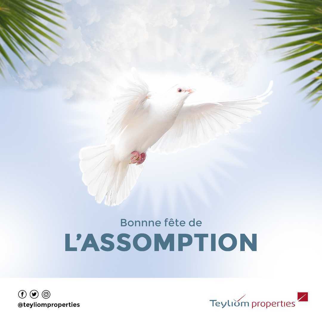 Teyliom Properties vous souhaite une bonne fête d’Assomption.🙏🏼

#Teyliomproperties #Assomption #Bonnefete