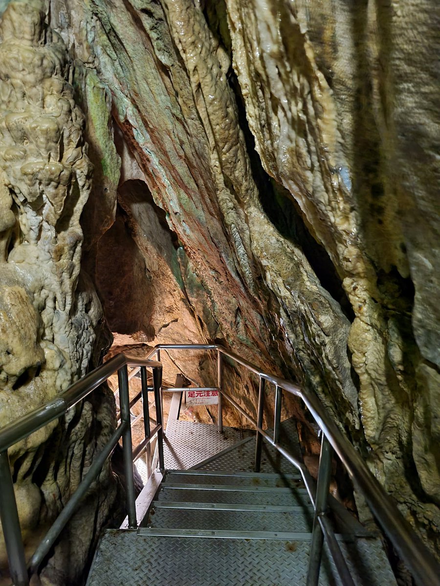 肉眼ではそうでもなかったんだけとカメラで撮るとめっちゃ緑だった 
