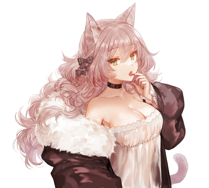 割とお気に入りな猫の日ねこちゃん再掲 